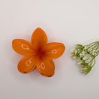 Leuchtendes Orange - Top view of a vibrant orange flower-shaped hair claw next to white buds.	

Draufsicht auf eine leuchtend orangefarbene Blumen-Haarklammer neben weißen Blüten.